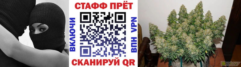 Наркошоп Дубовка КОКАИН NBOMe АМФЕТАМИН Каннабис ГАШИШ