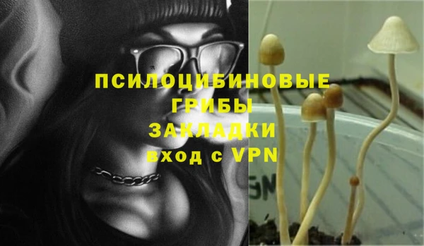 прущий лед Богородск