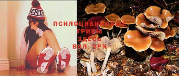 мдма Богданович