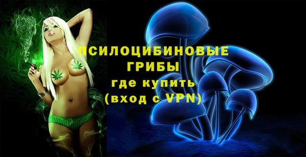 мдма Богданович